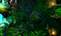 Trine 2