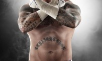 WWE 12