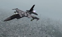 Ace Combat : Joint Assault