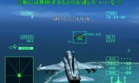 Ace Combat : Squadron Leader