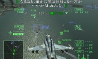 Ace Combat : Squadron Leader