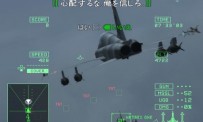 Ace Combat : Squadron Leader