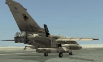 Ace Combat : Squadron Leader