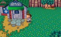 Animal Crossing : Let's Go to the City