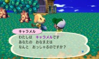 Animal Crossing : Let's Go to the City