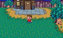 Animal Crossing : Let's Go to the City