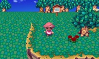 Animal Crossing : Let's Go to the City