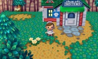 Animal Crossing : Let's Go to the City