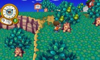 Animal Crossing : Let's Go to the City