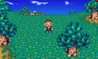 Animal Crossing : Let's Go to the City