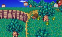 Animal Crossing : Let's Go to the City