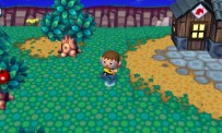 Animal Crossing : Let's Go to the City