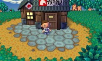 Animal Crossing : Let's Go to the City