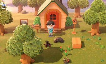 Animal Crossing : New Horizons