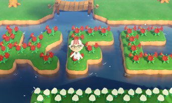 Animal Crossing : New Horizons