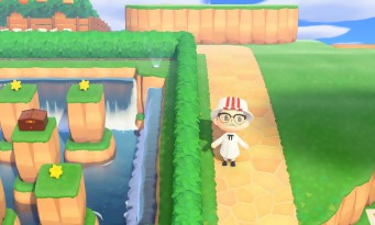 Animal Crossing : New Horizons