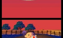 Animal Crossing : Wild World