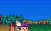 Animal Crossing : Wild World