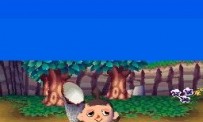 Animal Crossing : Wild World