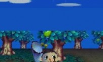 Animal Crossing : Wild World