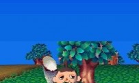 Animal Crossing : Wild World