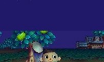 Animal Crossing : Wild World