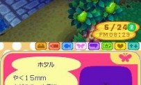 Animal Crossing : Wild World