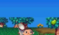 Animal Crossing : Wild World