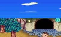 Animal Crossing : Wild World