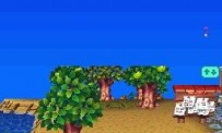 Animal Crossing : Wild World