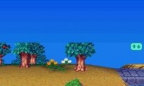 Animal Crossing : Wild World