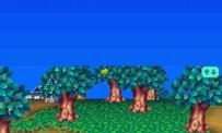 Animal Crossing : Wild World