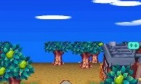 Animal Crossing : Wild World