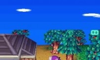 Animal Crossing : Wild World