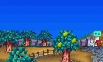 Animal Crossing : Wild World