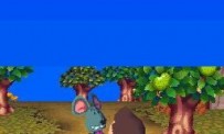 Animal Crossing : Wild World