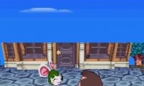 Animal Crossing : Wild World