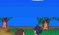 Animal Crossing : Wild World