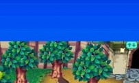 Animal Crossing : Wild World