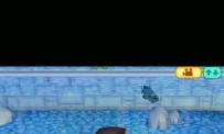 Animal Crossing : Wild World