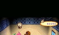 Animal Crossing : Wild World