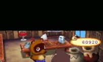 Animal Crossing : Wild World