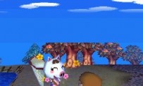 Animal Crossing : Wild World