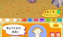 Animal Crossing : Wild World