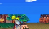 Animal Crossing : Wild World