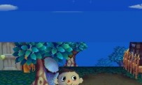 Animal Crossing : Wild World