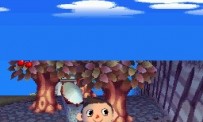 Animal Crossing : Wild World