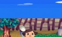 Animal Crossing : Wild World