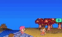 Animal Crossing : Wild World