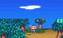 Animal Crossing : Wild World